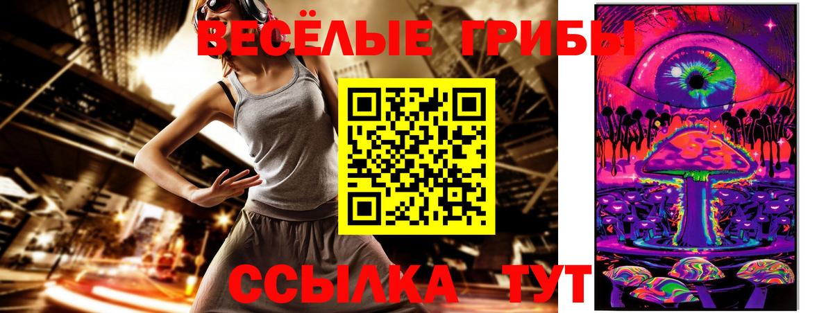 Норильск  закладки  Вход с VPN  Псилоцибиновые грибы GOLDEN TEACHER  Галлюциногенные грибы GOLDEN TEACHER 